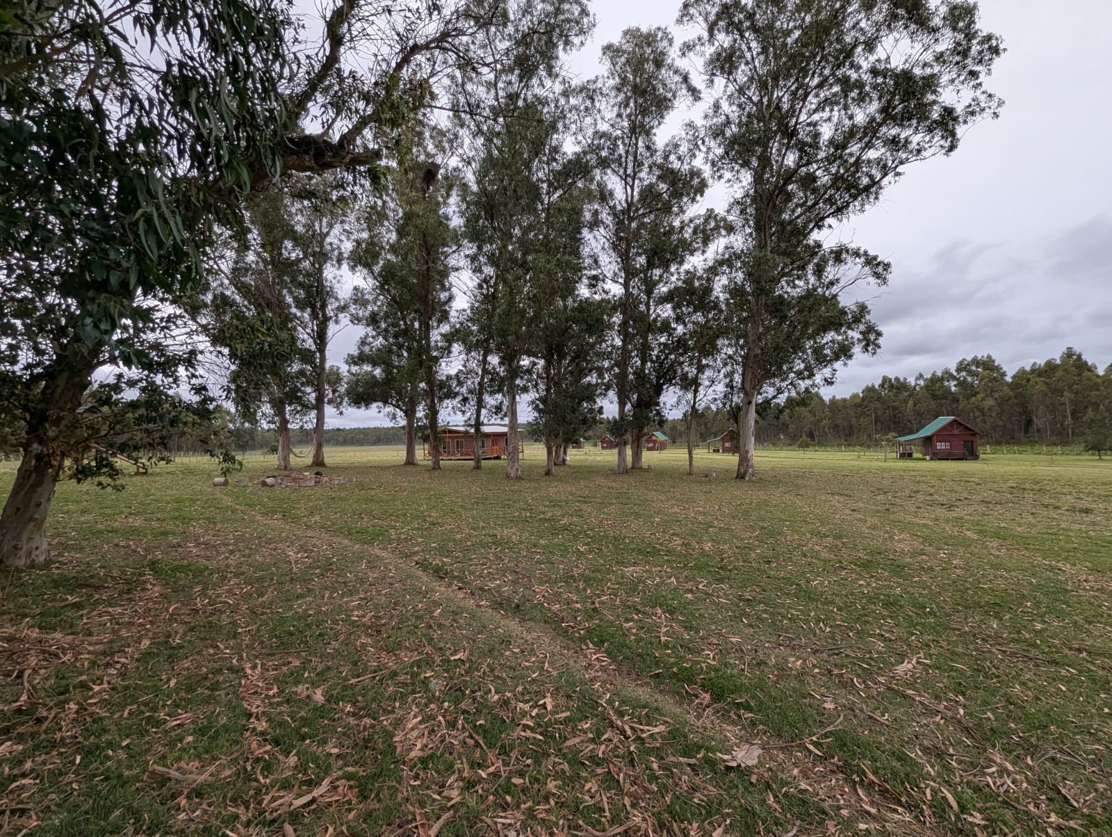 2601_WhatsApp Image 2025-12-24 at 11.42.54 (2).jpeg